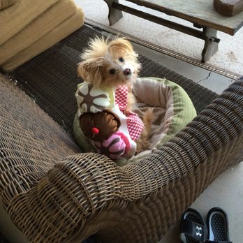 Pet Doctor - Veterinarians Near Me - Tucson, Arizona