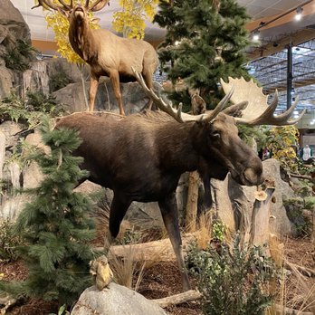 Cabela's - Outdoor Gear Near Me - Boise, Idaho