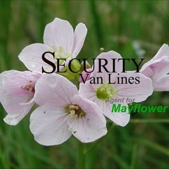 Security Van Lines - "Handling Our Customers Valuables Like the Delicate Mayflower" - Movers Near Me - Kenner, Louisiana Security Van Lines - "Handling Our Customers Valuables Like the Delicate Mayflower" - Movers Near Me - Kenner, Louisiana
