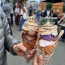 Wild Scoops - Wild berry, fireweed, chocolate, off the trail