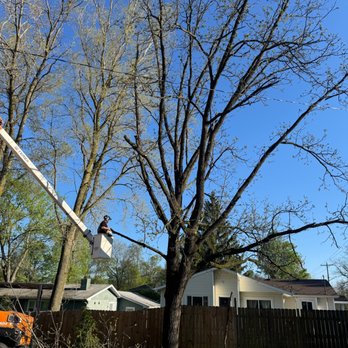 Timber Bros Tree Service - Tree Services Near Me Timber Bros Tree Service - Tree Services Near Me
