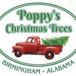 Poppy's Christmas Trees