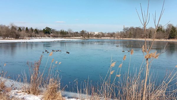 Lake Artemesia Natural Area by null