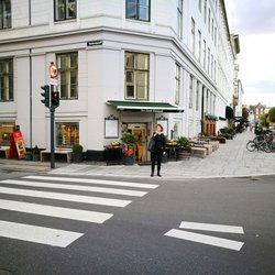 Den Gamle Købmand - Taget i oktober 2016.