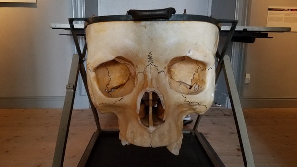 Gustavianum - Uppsala University Museum by null