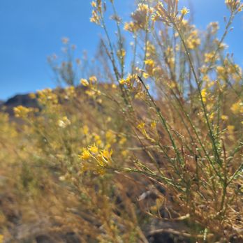 Titus Canyon Road - Hiking Near Me