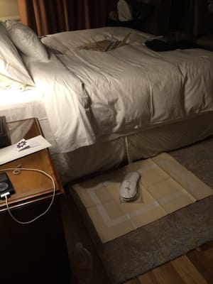 The Westin Excelsior, Florence by null