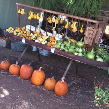 Summerset Farm - So many crops :) - Farmers Market Near Me - Santa Ynez, California Summerset Farm - So many crops :) - Farmers Market Near Me - Santa Ynez, California