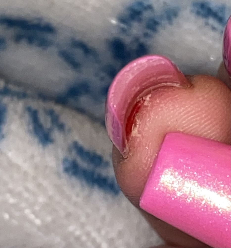 NAIL HARMONY Updated June 2024 16 Photos 1243 3B E Dixon Blvd