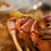 Shakin Crab gift card
