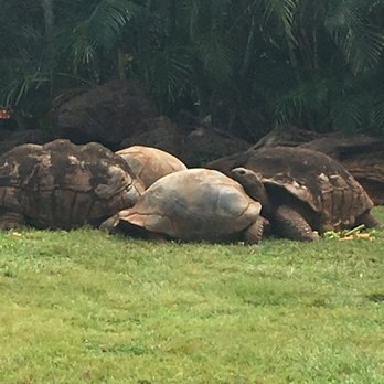Honolulu Zoo - Zoos Near Me - Honolulu, Hawaii