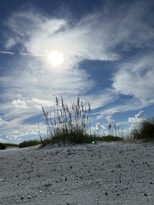 Bean Point Beach by null
