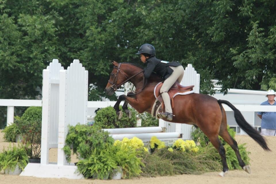 Showcase Equestrian Center - equestrian in Eads, TN