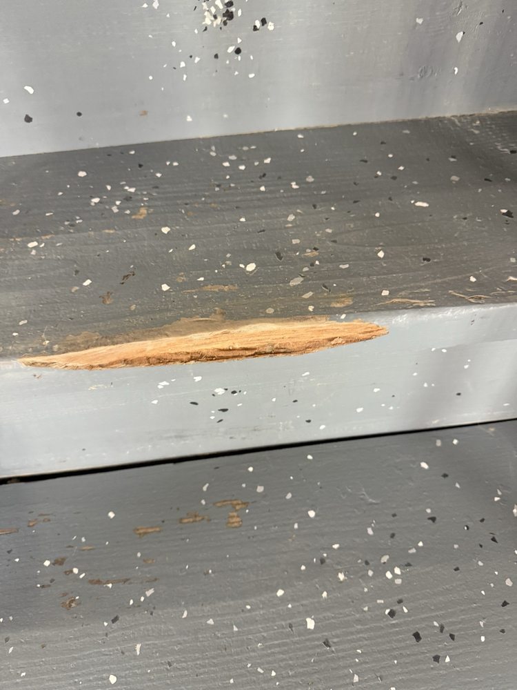 Slide of Roto-Rooter