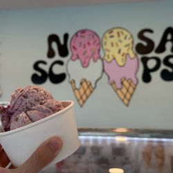 Noosa Scoops
