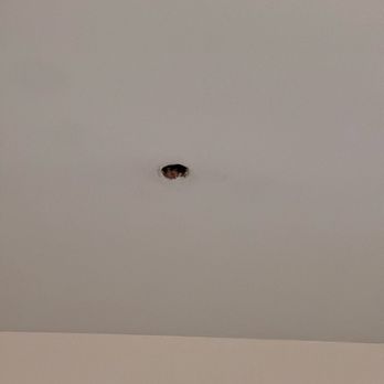 Hampton Inn & Suites Houston/Pasadena - Fire sprinkler (also don't hang anything on it- the sticker isn't there) - Hotels Near Me - Pasadena, Texas