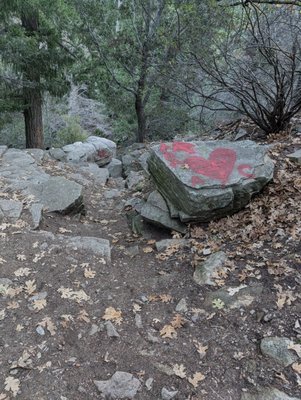 Heart Rock Trail by null