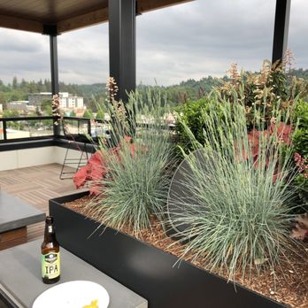 Junction Apartments - Fantastic community! Great residents, staff and lots of fun! - Apartments Near Me - Bothell, Washington