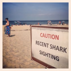 Longnook Beach - Locals enlist college-age great whites to keep day trippers away.