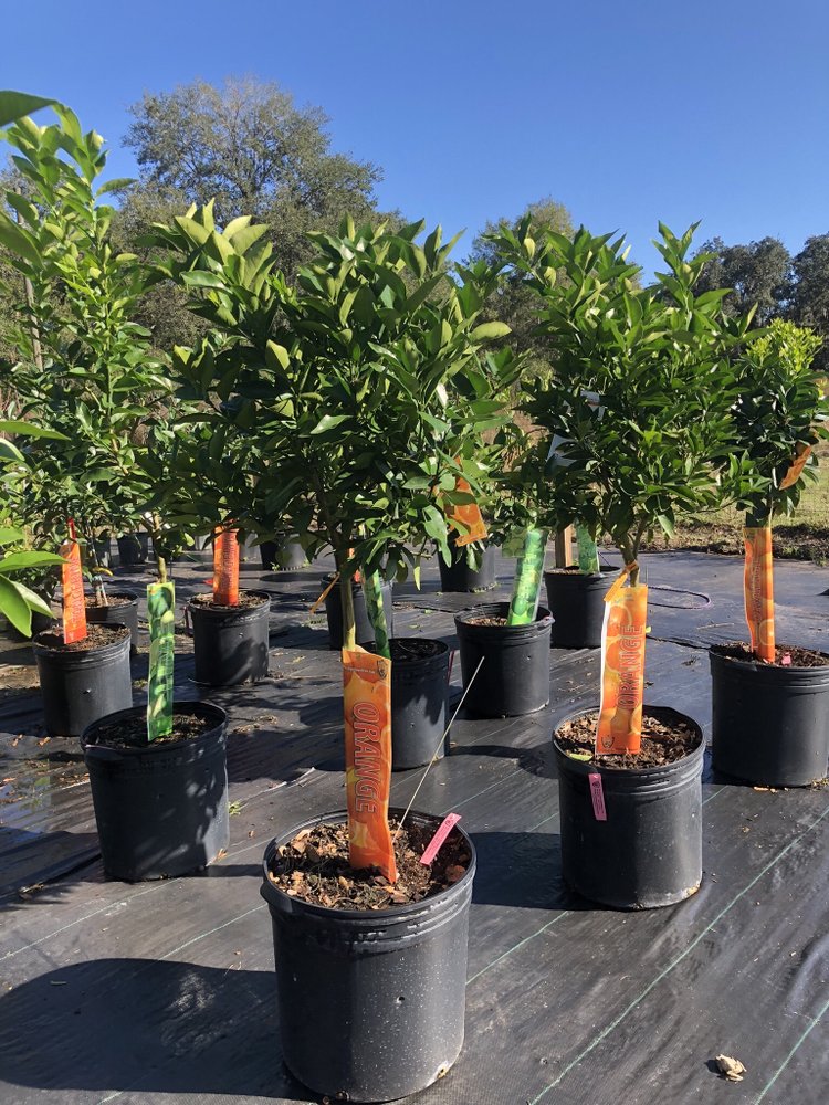 GROWING IN GRACE NURSERY Updated September 2024 3750 Harbor Rd