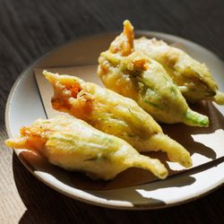 Wildland - Squash blossoms