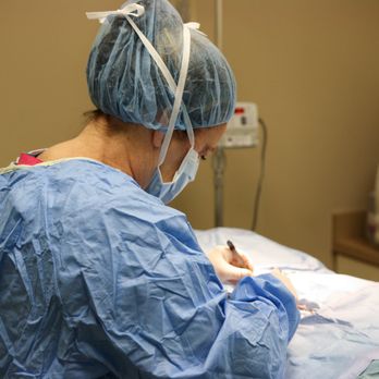 Oakhurst Veterinary Hospital - The medical team at Oakhurst is highly trained to safely perform a wide-range of surgical procedures with extreme care and pr... - Pet Groomers Near Me - Seminole, Florida Oakhurst Veterinary Hospital - The medical team at Oakhurst is highly trained to safely perform a wide-range of surgical procedures with extreme care and pr... - Pet Groomers Near Me - Seminole, Florida