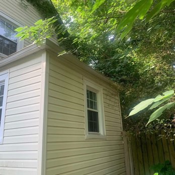 Tactical Timber Tippers Tree Service's - Before - Tree Services Near Me Tactical Timber Tippers Tree Service's - Before - Tree Services Near Me