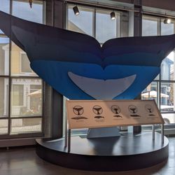 New Bedford Whaling Museum - New Bedford Whaling Museum 8/2025