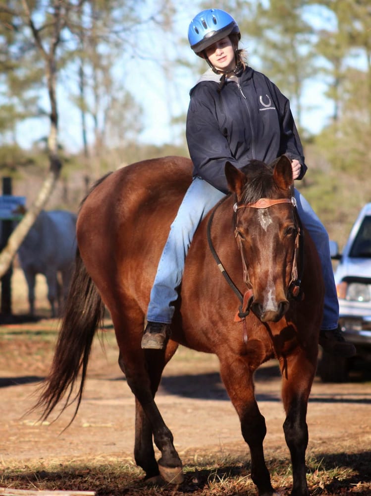 Red Hill Farm - equestrian in Franklinton, NC