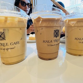 Hala Tree Cafe - Iced Vanilla Latte / Iced Chocolate Latte / Iced Caramel Latte - Coffee & Tea Near Me - Honolulu, Hawaii Hala Tree Cafe - Iced Vanilla Latte / Iced Chocolate Latte / Iced Caramel Latte - Coffee & Tea Near Me - Honolulu, Hawaii