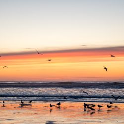 Hoquiam River RV Park - Gateway to Ocean Shores and the Olympic Peninsula