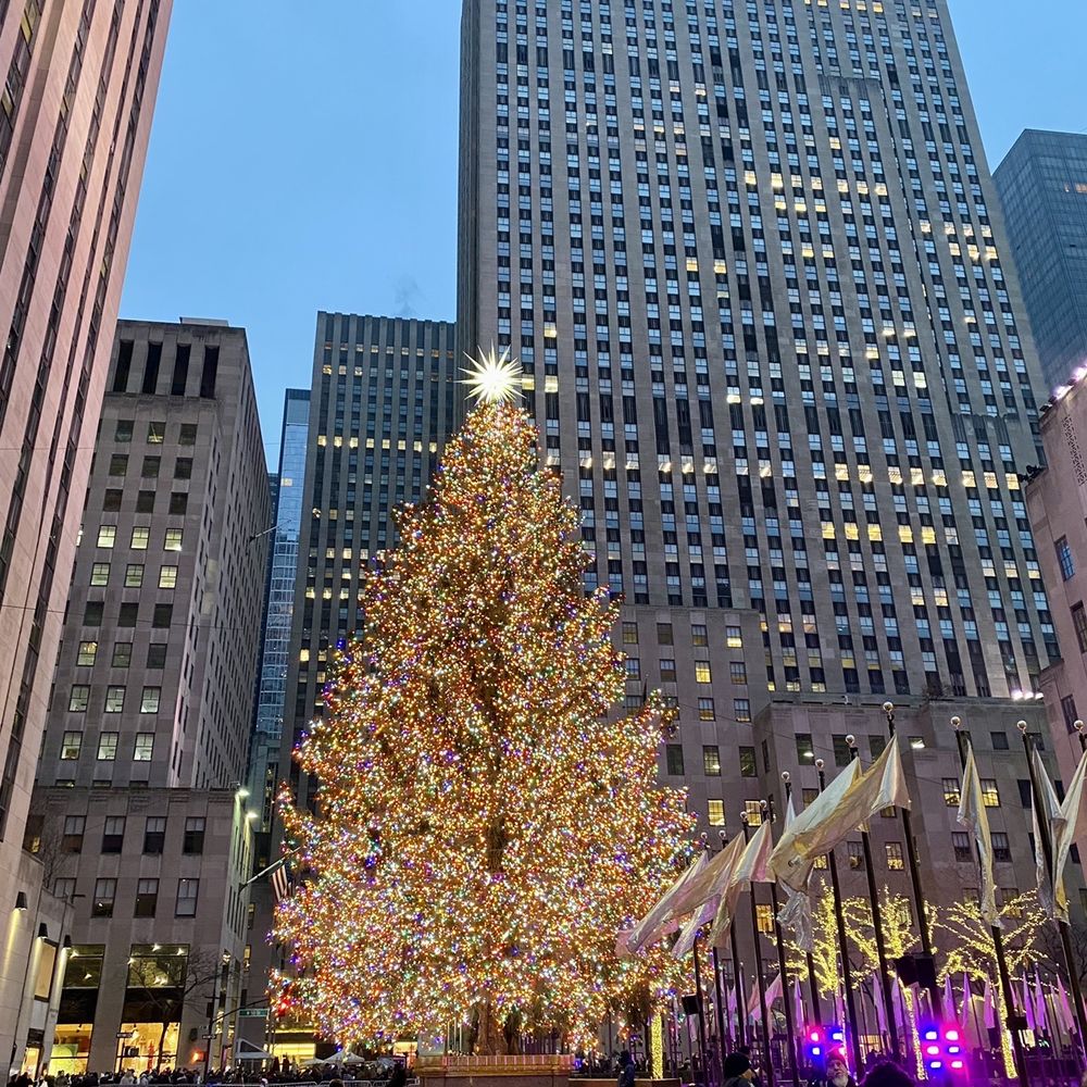 Rockefeller Center Christmas Tree - 2021 Rockefeller Christmas tree - Christmas Trees Near Me - New York, New York Rockefeller Center Christmas Tree - 2021 Rockefeller Christmas tree - Christmas Trees Near Me - New York, New York