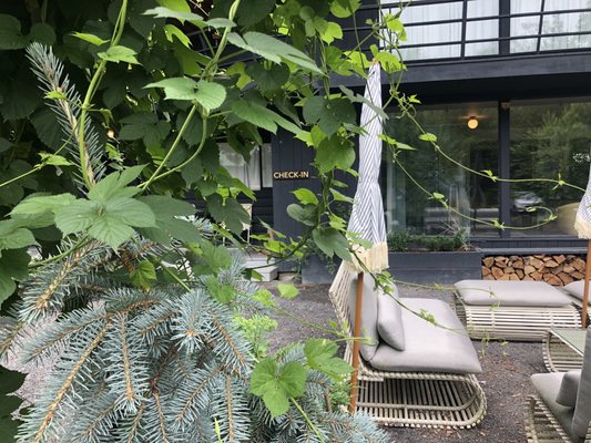 The Woodhouse Lodge by null
