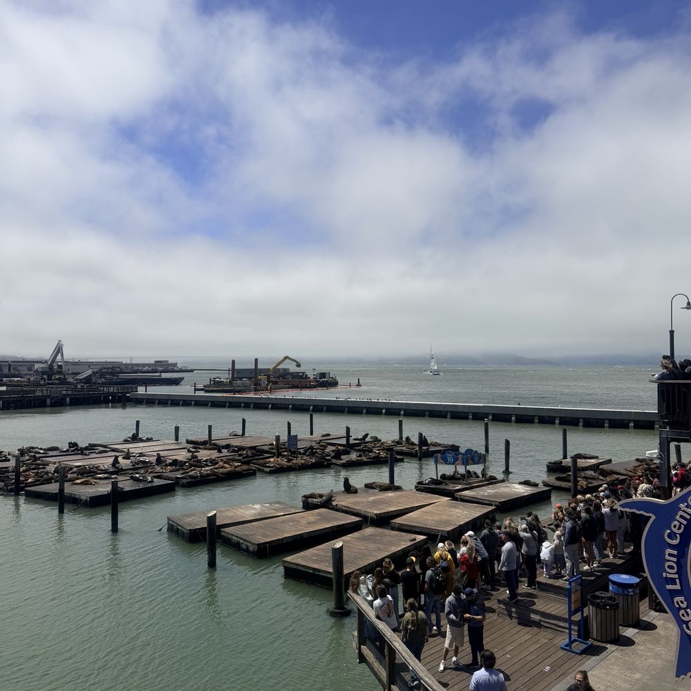 PIER 39 - Shopping Centers Near Me - San Francisco, California