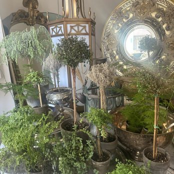 The Buttonwood - A variety of potted plants and small trees are displayed on a round table, with some plants supported by sticks. Behind the plants, there is a large, ornate mirror with a decorative frame and a tall, vintage-style lamp with a geometric design. The scene includes additional decorative objects, such as a silver bowl and a mirror, creating an eclectic and vintage aesthetic. - Vietnamese Near Me - Baltimore, Maryland