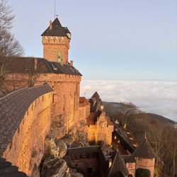 Château du Haut-Koenigsbourg