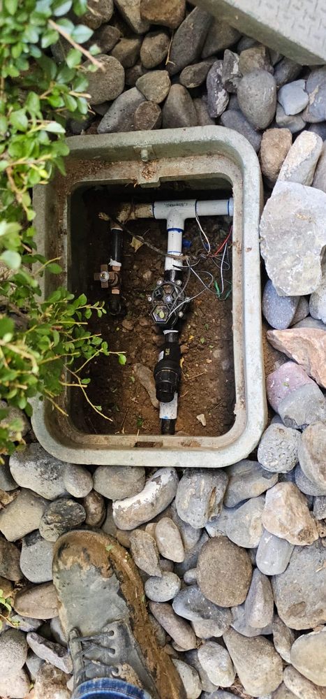 Aces Lawn Care - tree service in Reno, NV