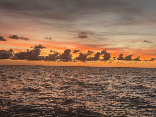 Posada Mawimbi by null