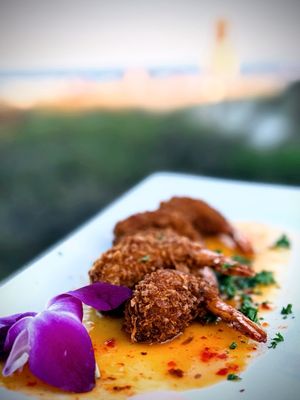 Coconuts on the Beach by null