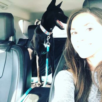 Austin Pets Alive! - Animal Shelters Near Me - Austin, Texas
