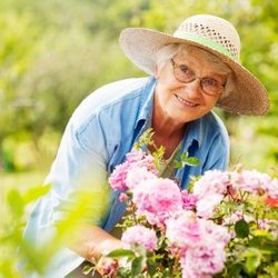 Elite Eldercare NoVa