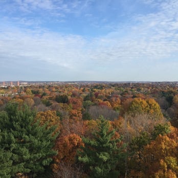 Mount Auburn Cemetery - Beautiful fall foliage - Funeral Services & Cemeteries Near Me - Cambridge, Massachusetts