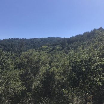Huddart County Park - Parks Near Me - Woodside, California