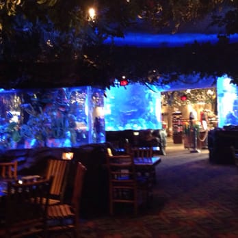 Rainforest Cafe - American Near Me - Sunrise, Florida