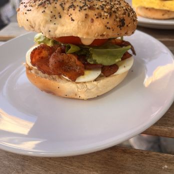 Little Tina - Everything sandwich - Coffee & Tea Near Me - Tampa, Florida Little Tina - Everything sandwich - Coffee & Tea Near Me - Tampa, Florida