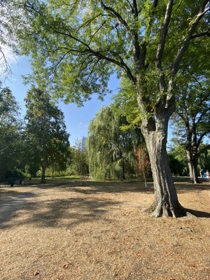 Charles River Esplanade by null Charles River Esplanade by null