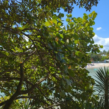 Dubois Park - Parks Near Me - Jupiter, Florida Dubois Park - Parks Near Me - Jupiter, Florida