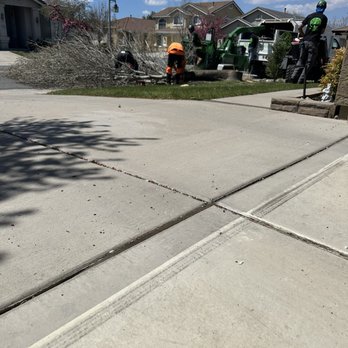 Ohana Tree Bros - Tree Services Near Me - Reno, Nevada Ohana Tree Bros - Tree Services Near Me - Reno, Nevada