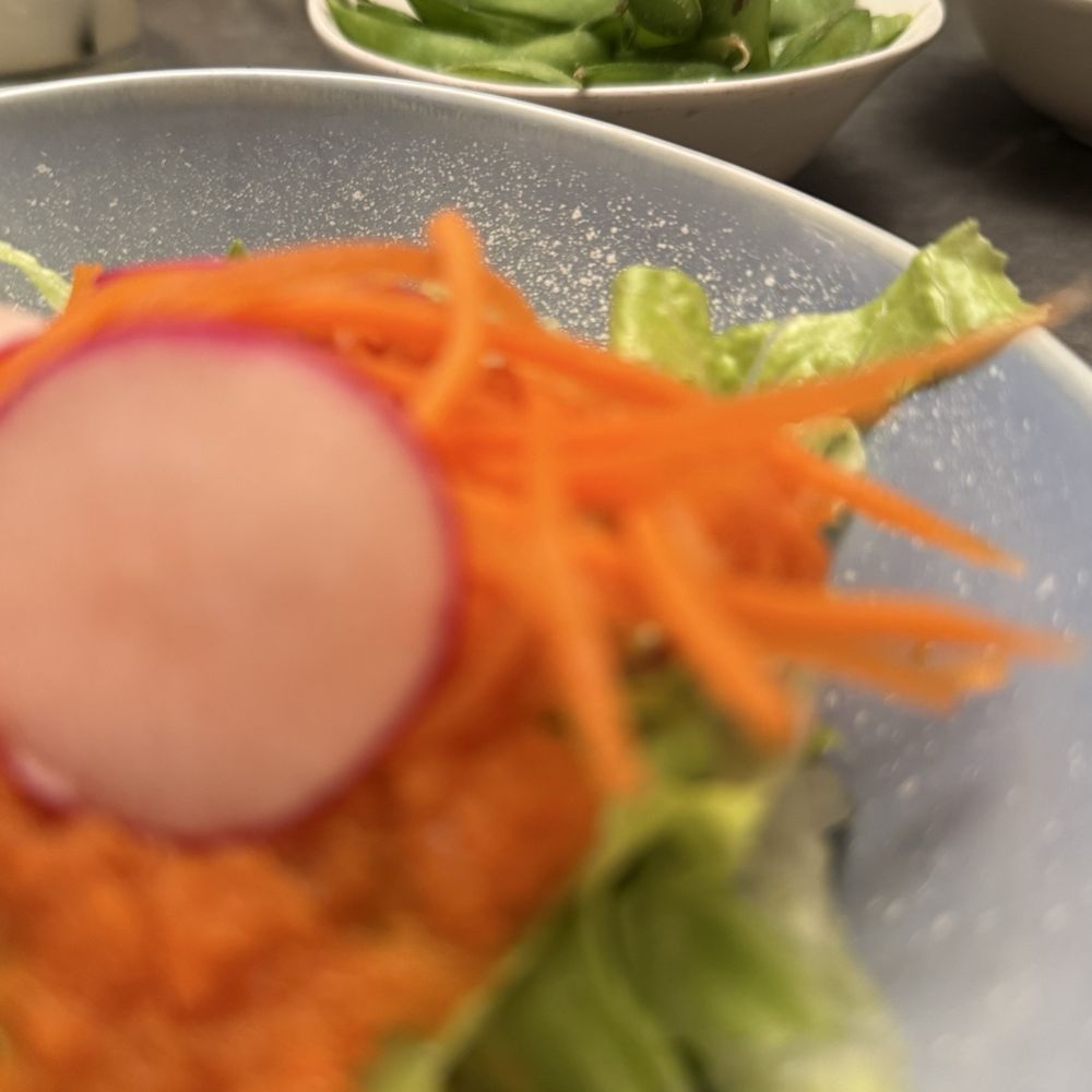 Sushi Sato - Green Salad (V, GF) - Sushi Bars Near Me - Washington, DC, District of Columbia