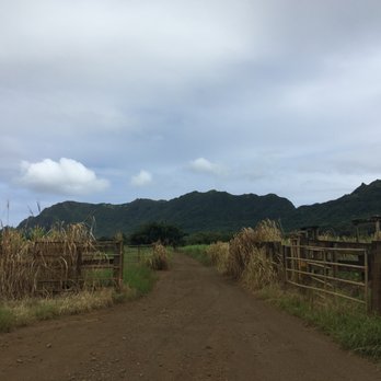 Kipu Ranch Adventures - Tours Near Me - Lihue, Hawaii Kipu Ranch Adventures - Tours Near Me - Lihue, Hawaii